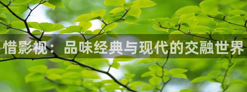 可可影视安卓下载：惜影视：品味经典与现代的交融世界