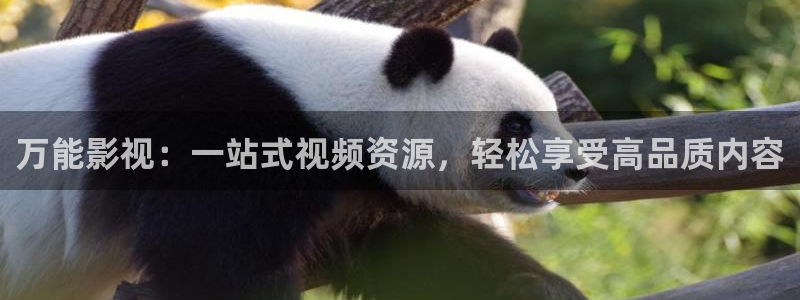 可可影视追剧：万能影视：一站式视频资源，轻松享受高品质内容