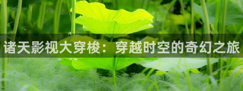 可可影视app怎么下载：诸天影视大穿梭：穿越时空的奇幻之旅