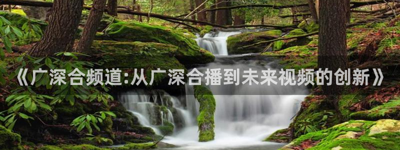可可影视最新版：《广深合频道:从广深合播到未来视频的创新》