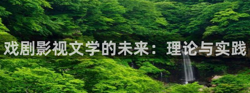 可可影视电脑版：戏剧影视文学的未来：理论与实践