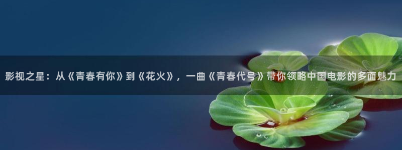 可可影视在线下载：影视之星：从《青春有你》到《花火》，一曲《青春代号》带你领略中国电影的多面魅力