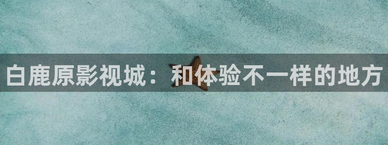 可可影视官网最新版本：白鹿原影视城：和体验不一样的地方