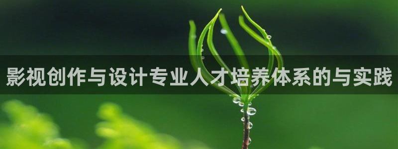 可可影视奈飞：影视创作与设计专业人才培养体系的与实践